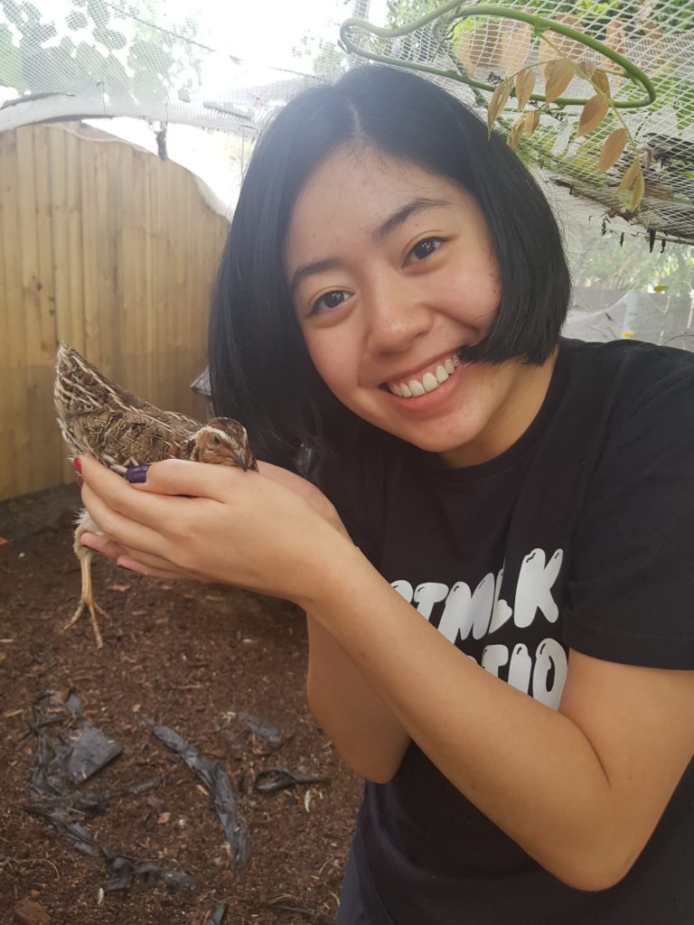 Read more about the article My Volunteer Experience – Charlotte (Admin & Communications)