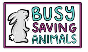 saving animals pin