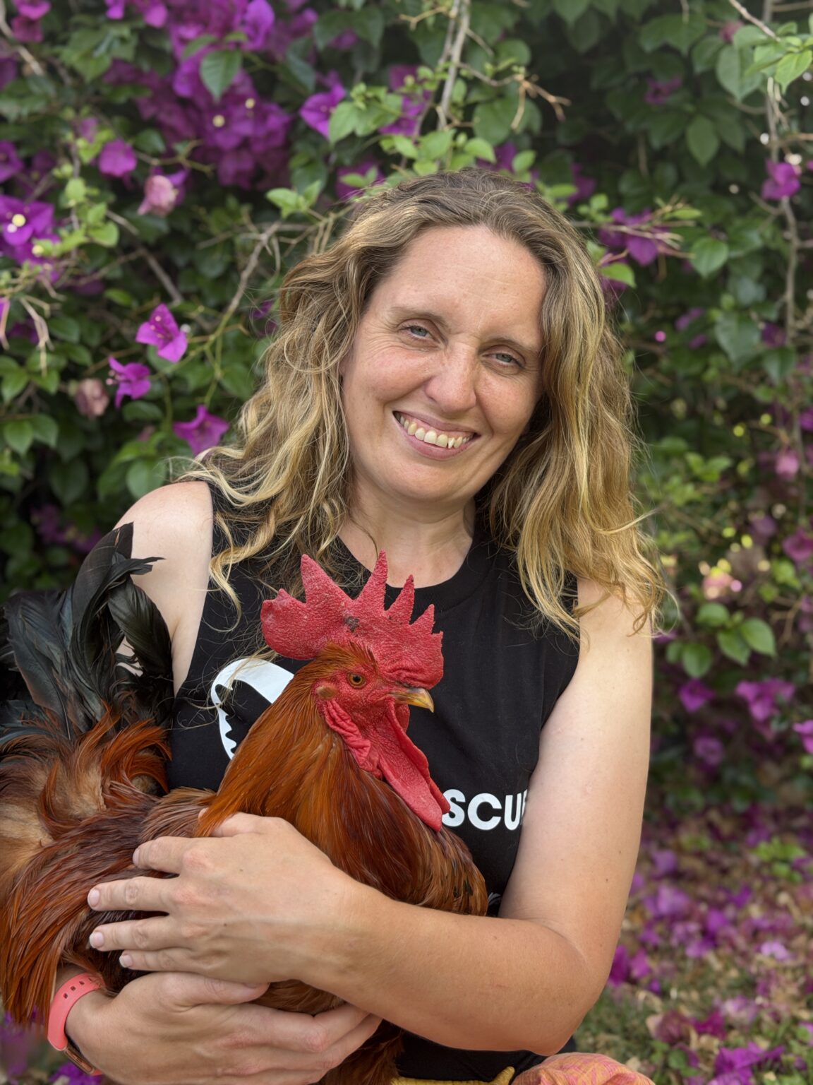 Catherine, founder of NSW Hen Rescue, holding Claude, a rescued rooster who looks calm and content in her arms