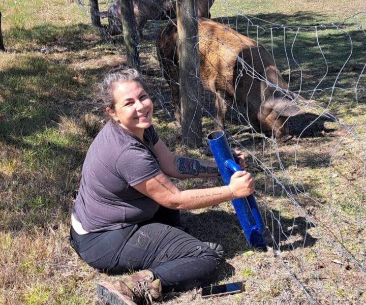 Isy volunteering at The Hen Haven